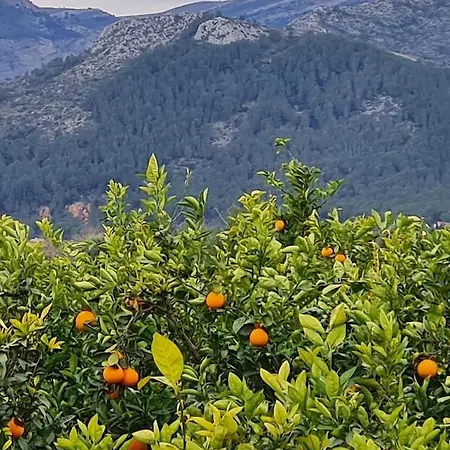 Casa Nirvana ヴィラ